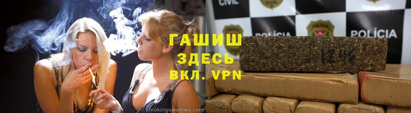 сатива Белокуриха