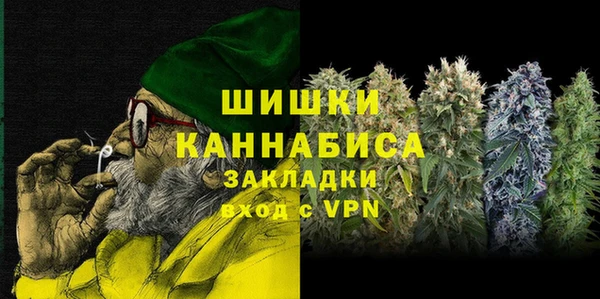 сатива Белокуриха