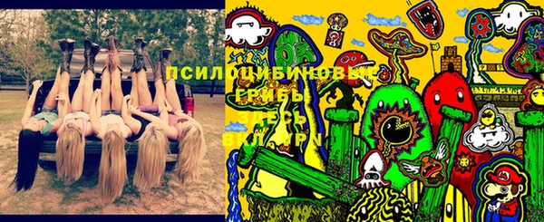 ешки Балахна