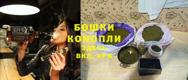 сатива Белокуриха