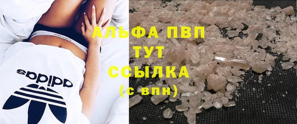 молекула духа Белоозёрский