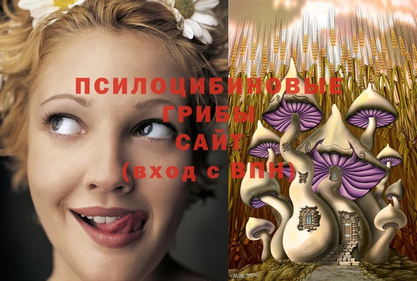 молекула духа Белоозёрский