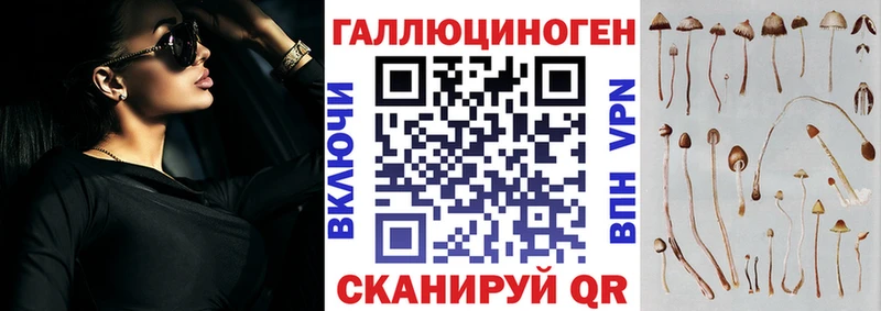 Галлюциногенные грибы Psilocybe  Кудымкар 